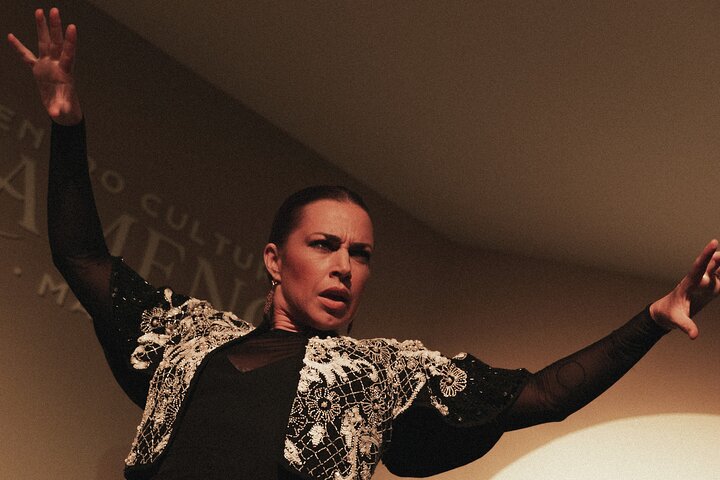 Experience an authentic flamenco show in Madrid with traditional music and dance, photo 9 | wizardtrip