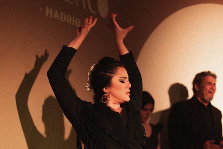 Experience an authentic flamenco show in Madrid with traditional music and dance, photo 13 | wizardtrip