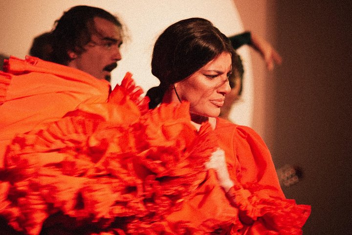 Experience an authentic flamenco show in Madrid with traditional music and dance, photo 15 | wizardtrip