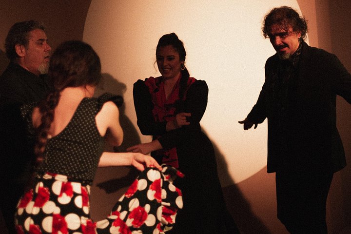 Experience an authentic flamenco show in Madrid with traditional music and dance, photo 19 | wizardtrip