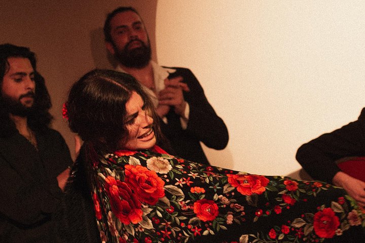 Experience an authentic flamenco show in Madrid with traditional music and dance, photo 20 | wizardtrip