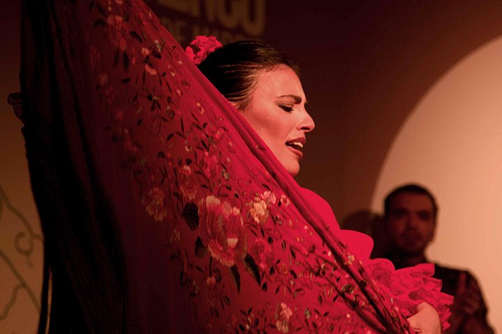 Experience an authentic flamenco show in Madrid with traditional music and dance, photo 22 | wizardtrip