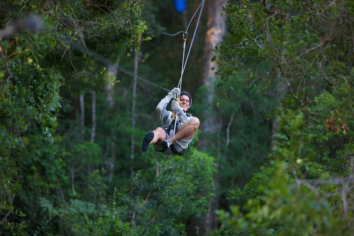 Tsitsikamma National Park | wizardtrip