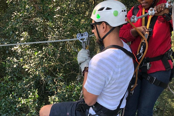 Zweef door het weelderige Tsitsikamma regenwoud op een spannend zipline-avontuur, foto 6 | wizardtrip