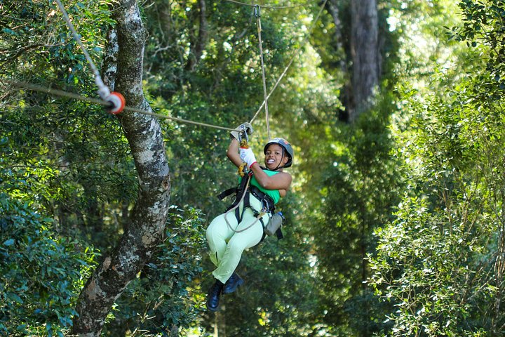 Zweef door het weelderige Tsitsikamma regenwoud op een spannend zipline-avontuur, foto 8 | wizardtrip
