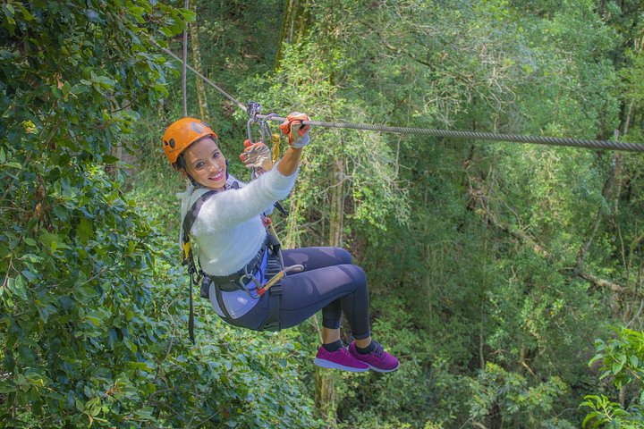 Zweef door het weelderige Tsitsikamma regenwoud op een spannend zipline-avontuur, foto 11 | wizardtrip