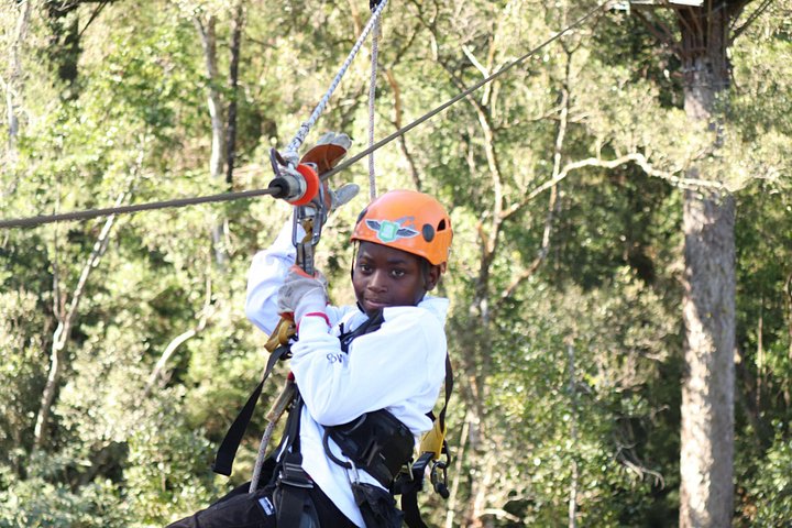 Zweef door het weelderige Tsitsikamma regenwoud op een spannend zipline-avontuur, foto 13 | wizardtrip