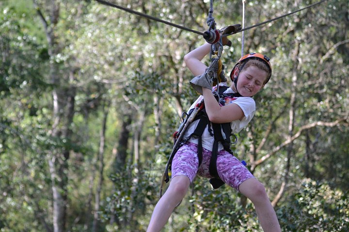 Zweef door het weelderige Tsitsikamma regenwoud op een spannend zipline-avontuur, foto 14 | wizardtrip
