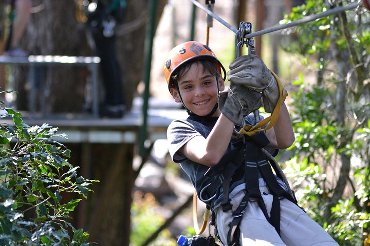 Zweef door het weelderige Tsitsikamma regenwoud op een spannend zipline-avontuur, foto 15 | wizardtrip