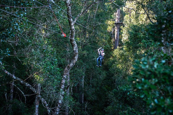 Zweef door het weelderige Tsitsikamma regenwoud op een spannend zipline-avontuur, foto 16 | wizardtrip