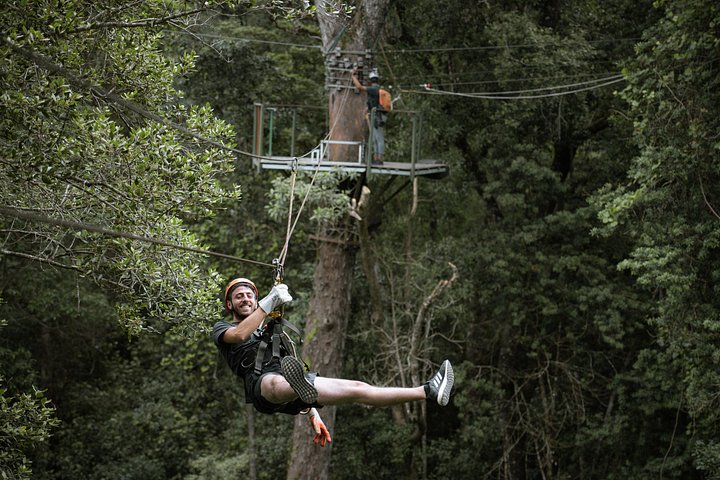 Zweef door het weelderige Tsitsikamma regenwoud op een spannend zipline-avontuur, foto 18 | wizardtrip