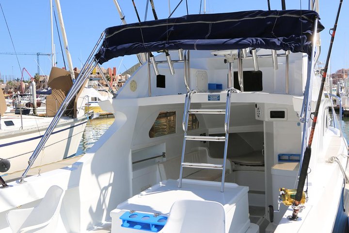 Passeio de pesca privado "tudo incluído" em Cabo San Lucas, México, com foco na pesca de marlin e dourado, foto 6 | wizardtrip