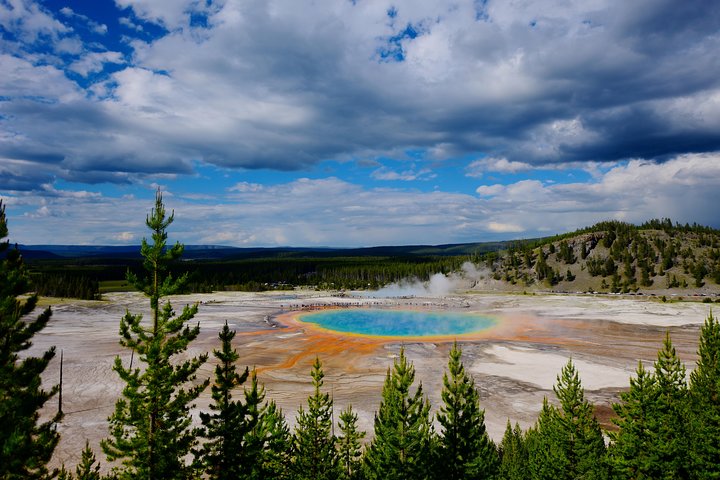 Privat Yellowstone-tur: IKONISKA platser, Vilda djur, Familjevänliga vandringar + lunch | wizardtrip
