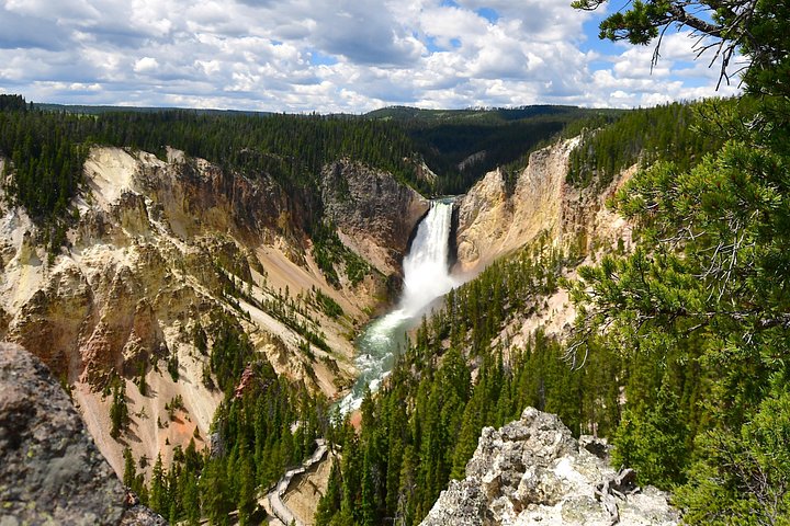 Excursion privée à Yellowstone présentant des sites emblématiques, la faune et des randonnées panoramiques avec un guide expert, photo 7 | wizardtrip