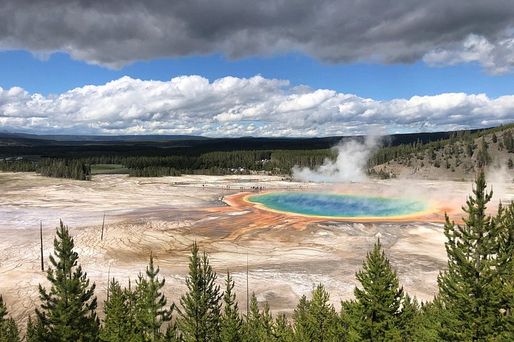 Excursion privée à Yellowstone présentant des sites emblématiques, la faune et des randonnées panoramiques avec un guide expert, photo 12 | wizardtrip
