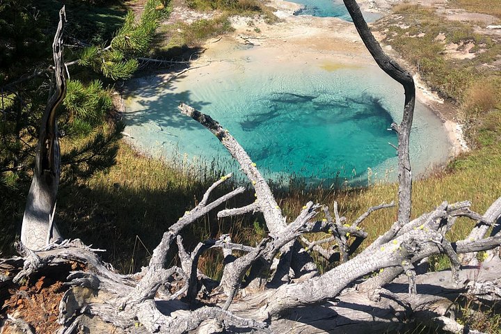 Excursion privée à Yellowstone présentant des sites emblématiques, la faune et des randonnées panoramiques avec un guide expert, photo 22 | wizardtrip
