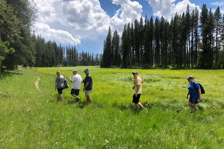 Excursion privée à Yellowstone présentant des sites emblématiques, la faune et des randonnées panoramiques avec un guide expert, photo 23 | wizardtrip