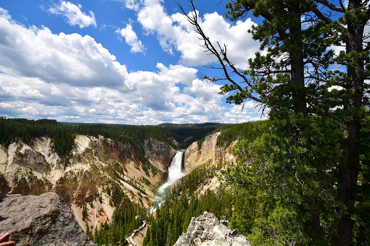Excursion privée à Yellowstone présentant des sites emblématiques, la faune et des randonnées panoramiques avec un guide expert, photo 24 | wizardtrip