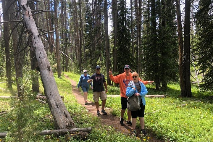 Excursion privée à Yellowstone présentant des sites emblématiques, la faune et des randonnées panoramiques avec un guide expert, photo 30 | wizardtrip