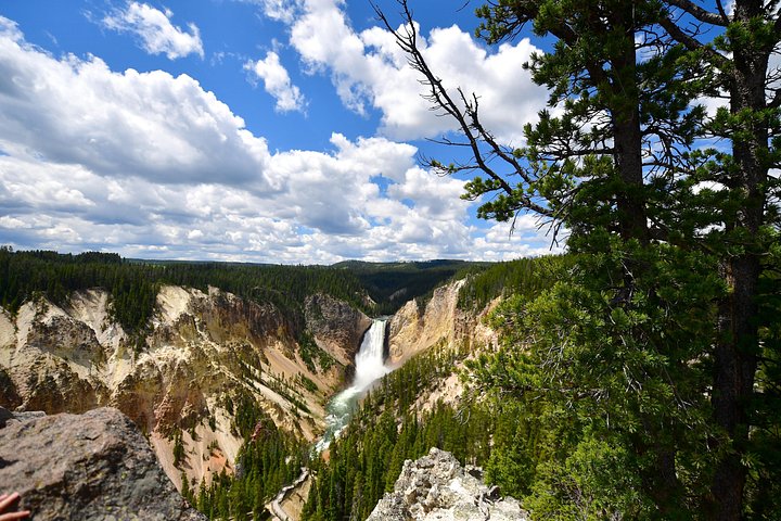 Excursion privée à Yellowstone présentant des sites emblématiques, la faune et des randonnées panoramiques avec un guide expert, photo 32 | wizardtrip