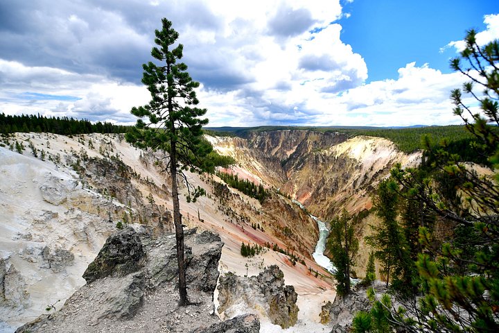 Excursion privée à Yellowstone présentant des sites emblématiques, la faune et des randonnées panoramiques avec un guide expert, photo 36 | wizardtrip