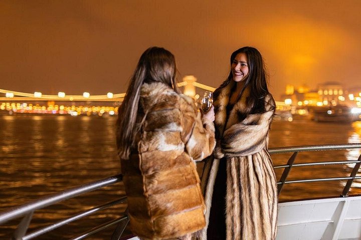 Enjoy a romantic dinner cruise on the Danube River in Budapest, featuring illuminated landmarks and live music, photo 7 | wizardtrip