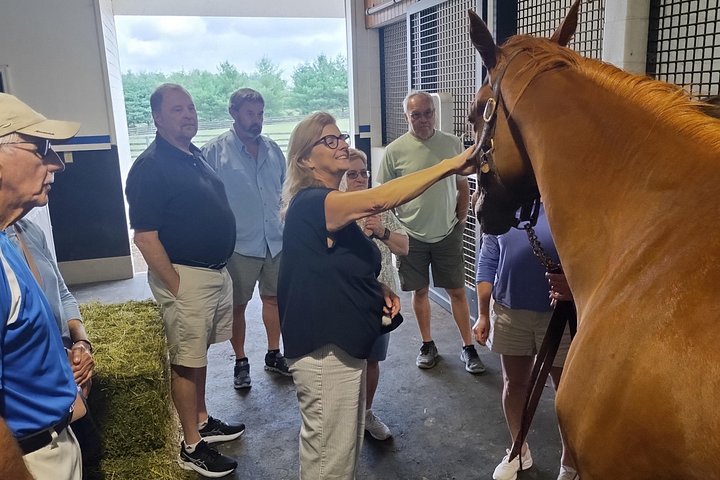 Visite de ferme de chevaux dans le Kentucky présentant des Pur-sang et la culture des courses, photo 7 | wizardtrip
