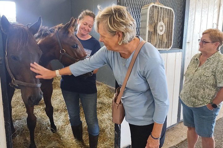 Visite de ferme de chevaux dans le Kentucky présentant des Pur-sang et la culture des courses, photo 14 | wizardtrip