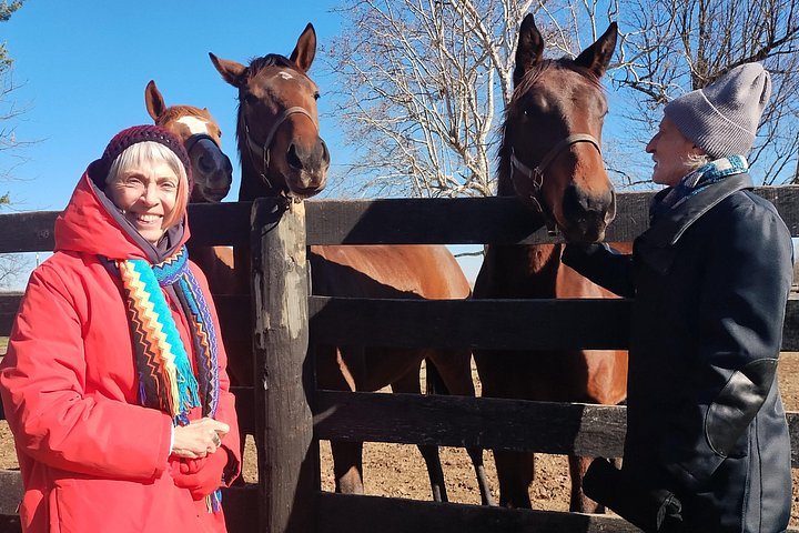 Visite de ferme de chevaux dans le Kentucky présentant des Pur-sang et la culture des courses, photo 19 | wizardtrip