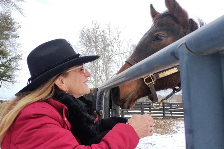 Visite de ferme de chevaux dans le Kentucky présentant des Pur-sang et la culture des courses, photo 25 | wizardtrip