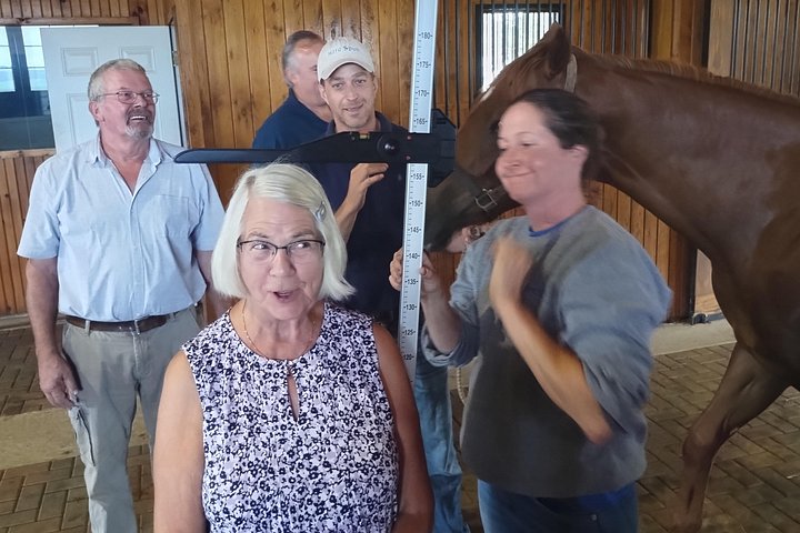 Visite de ferme de chevaux dans le Kentucky présentant des Pur-sang et la culture des courses, photo 29 | wizardtrip