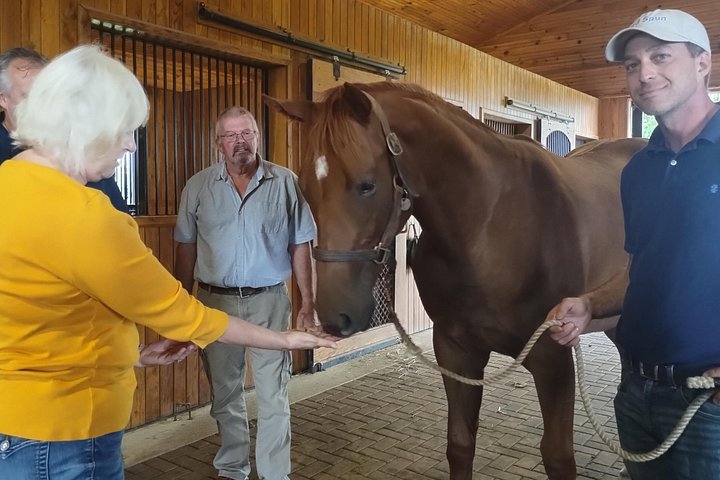 Visite de ferme de chevaux dans le Kentucky présentant des Pur-sang et la culture des courses, photo 34 | wizardtrip