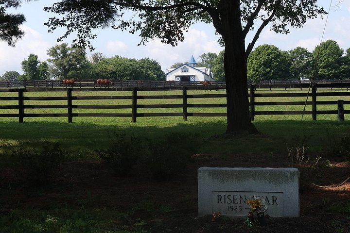 Visite de ferme de chevaux dans le Kentucky présentant des Pur-sang et la culture des courses, photo 35 | wizardtrip