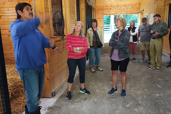 Visite de ferme de chevaux dans le Kentucky présentant des Pur-sang et la culture des courses, photo 39 | wizardtrip