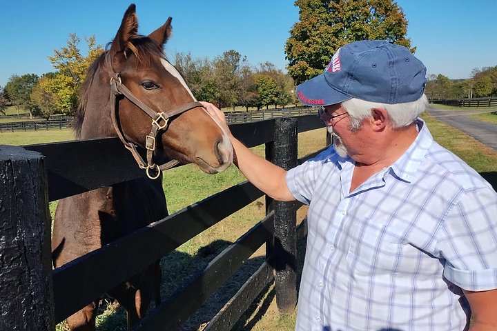 Visite de ferme de chevaux dans le Kentucky présentant des Pur-sang et la culture des courses, photo 41 | wizardtrip