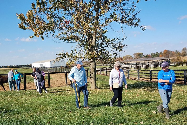 Visite de ferme de chevaux dans le Kentucky présentant des Pur-sang et la culture des courses, photo 43 | wizardtrip
