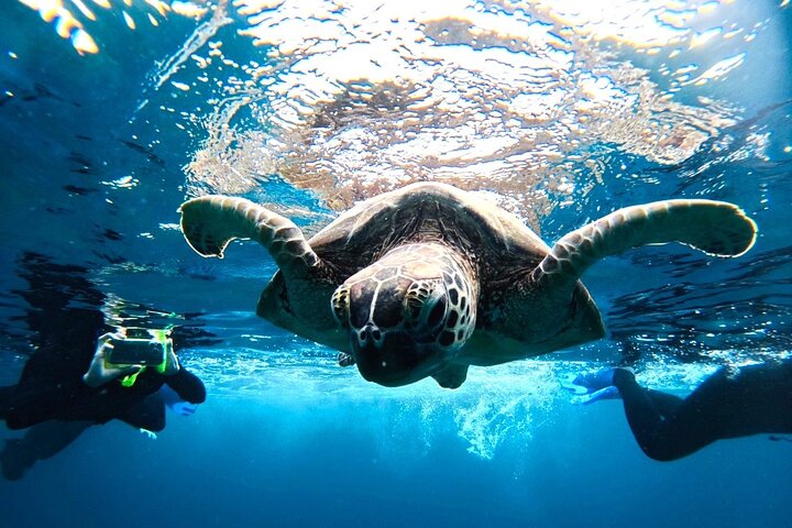 Tour de snorkeling de la Grotte Bleue d'Ishigaki à Okinawa | wizardtrip