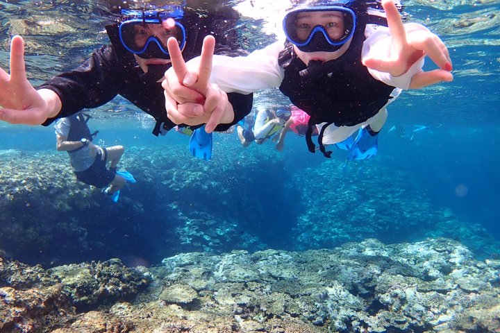 Tour de snorkel en la Cueva Azul de la isla de Ishigaki, Japón, con vibrante vida marina, foto 23 | wizardtrip