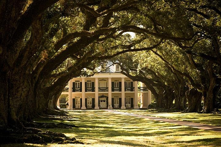 Oak Alley Plantation och stor Airboat Swamp Tour från New Orleans | wizardtrip