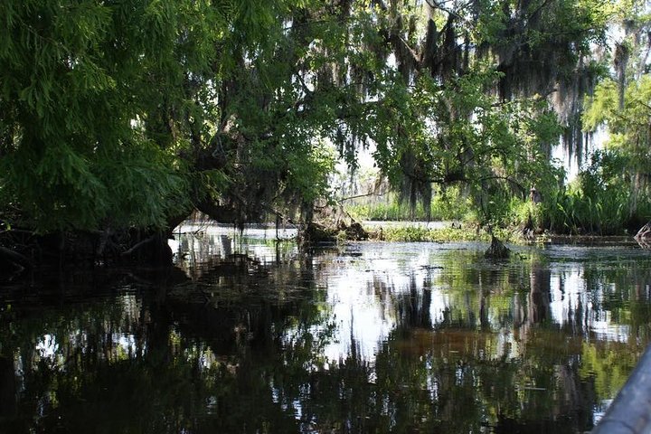 Spannende luchtboottour door de moerassen van New Orleans, met wilde dieren zoals alligators, foto 9 | wizardtrip