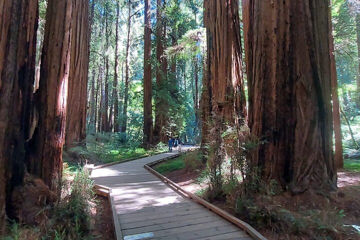 Tur i lille gruppe til Muir Woods og Sausalito fra San Francisco, foto 15 | wizardtrip
