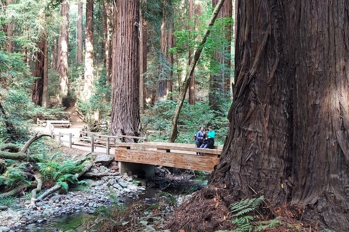 Tur i lille gruppe til Muir Woods og Sausalito fra San Francisco, foto 19 | wizardtrip