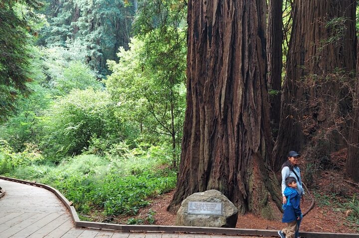 Tur i lille gruppe til Muir Woods og Sausalito fra San Francisco, foto 21 | wizardtrip