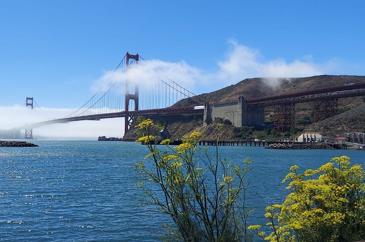 Tur i lille gruppe til Muir Woods og Sausalito fra San Francisco, foto 23 | wizardtrip
