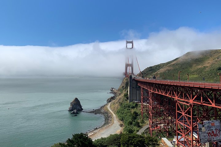 En naturskjønn tur til San Franciscos Alcatraz Island, Muir Woods og Sausalito, foto 8 | wizardtrip