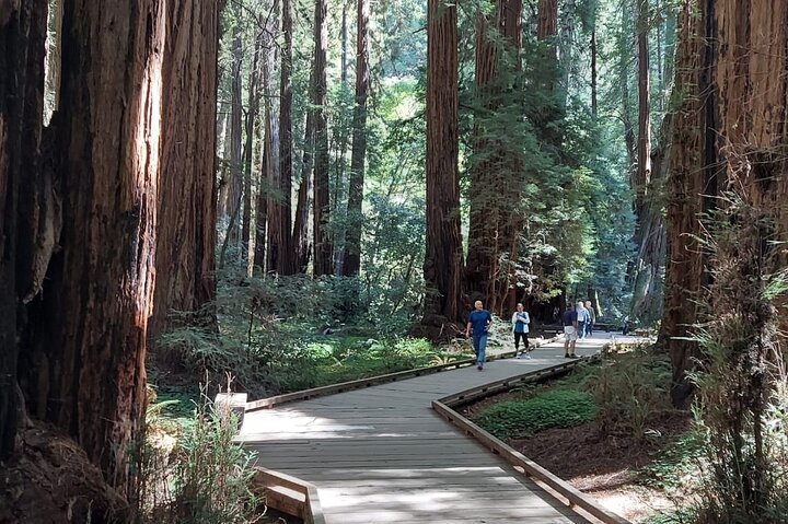 En naturskjønn tur til San Franciscos Alcatraz Island, Muir Woods og Sausalito, foto 14 | wizardtrip