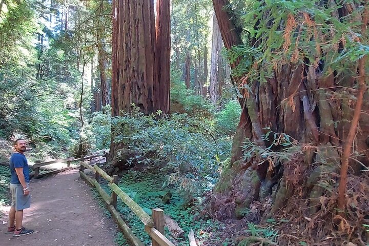 En naturskjønn tur til San Franciscos Alcatraz Island, Muir Woods og Sausalito, foto 17 | wizardtrip