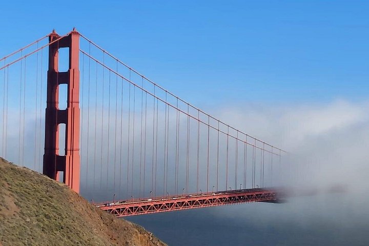En naturskjønn tur til San Franciscos Alcatraz Island, Muir Woods og Sausalito, foto 31 | wizardtrip