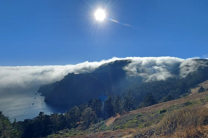 En naturskjønn tur til San Franciscos Alcatraz Island, Muir Woods og Sausalito, foto 32 | wizardtrip