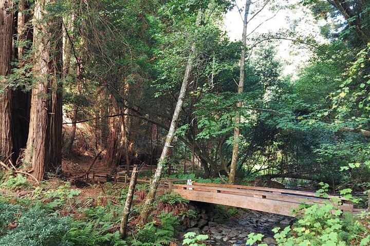 En naturskjønn tur til San Franciscos Alcatraz Island, Muir Woods og Sausalito, foto 35 | wizardtrip
